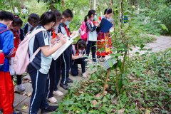 <b>未经书面授权禁止使用当六年级学生李昊哲正在</b>