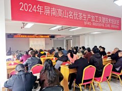 高从业人员全体制茶程度提拔茶叶质量